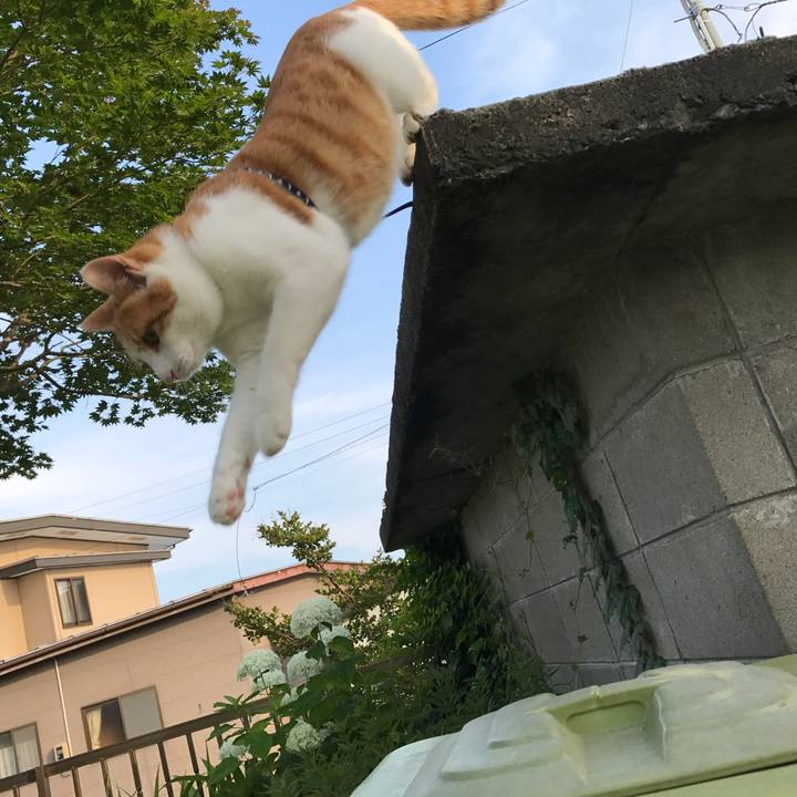 E7b33011 f857 429a ba65 8cfe50212374