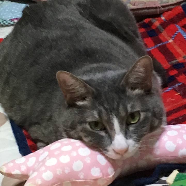 E7b394fe aa17 49bb bd35 691eedb9074d