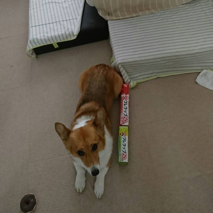 E7b39661 bff2 422e b285 d45ccdaa7aa5