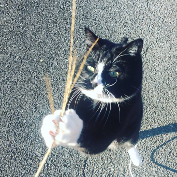 E7b405ca 26e9 4598 abc5 f4c12436a278