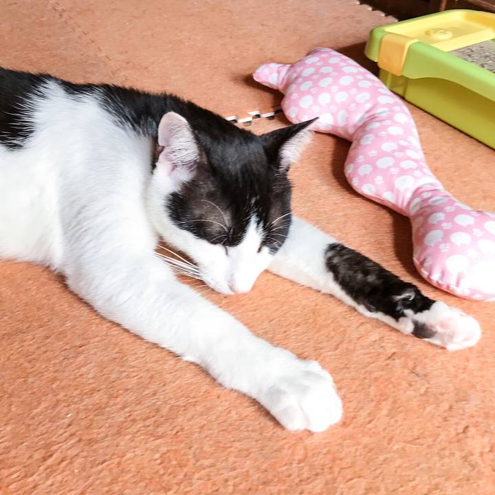 E7b4b6fa 7d6b 4255 a7e7 b03d2636e891