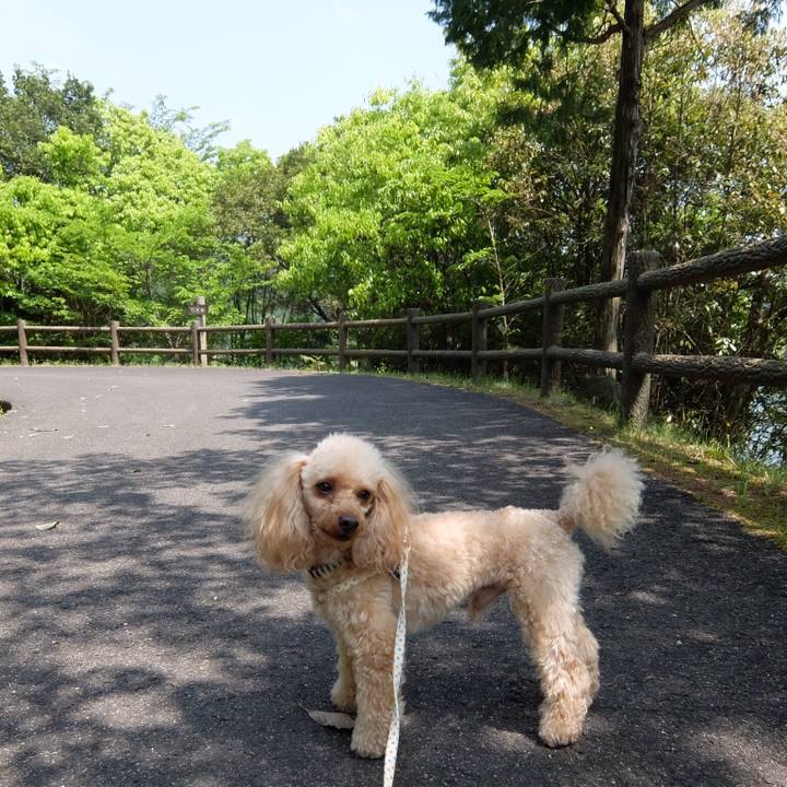 E7b599a0 32b3 4e56 9689 3be66b82e300