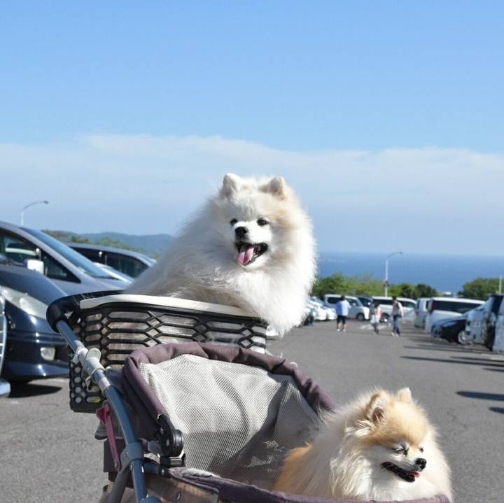 E7b5fc2c 4795 4845 a990 3069285614f0