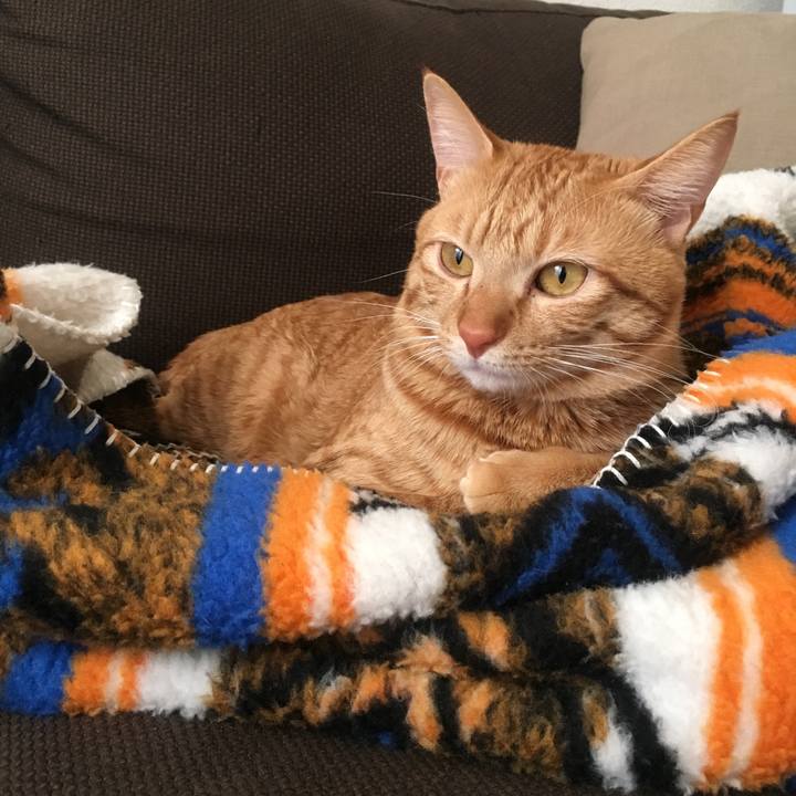 E7b65a20 1a12 417c 8634 97a7042babca