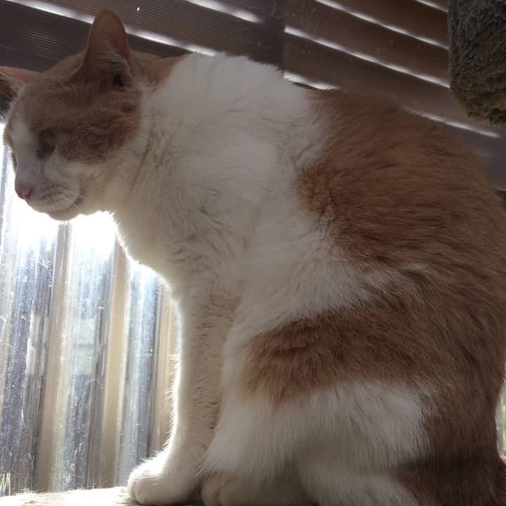 E7b693fa 936e 4b26 9663 301021cabee0