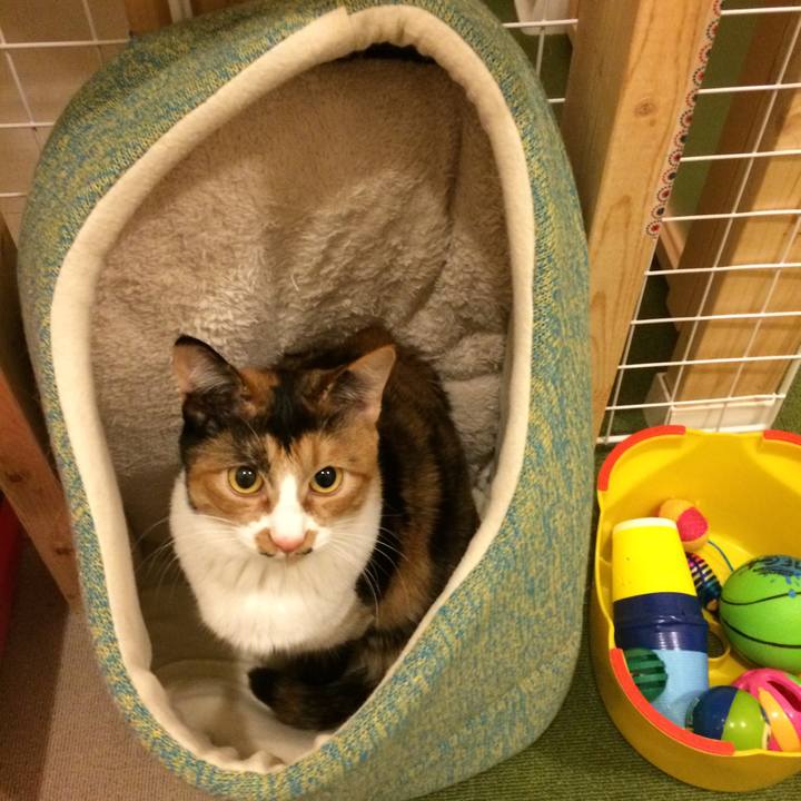 E7b6a764 d6af 4953 864b 0f151e495e4d