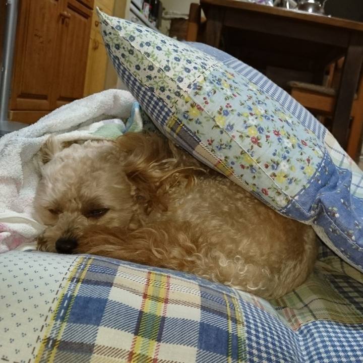 E7b707a0 b578 4f8b a136 cab4cd9b4fba