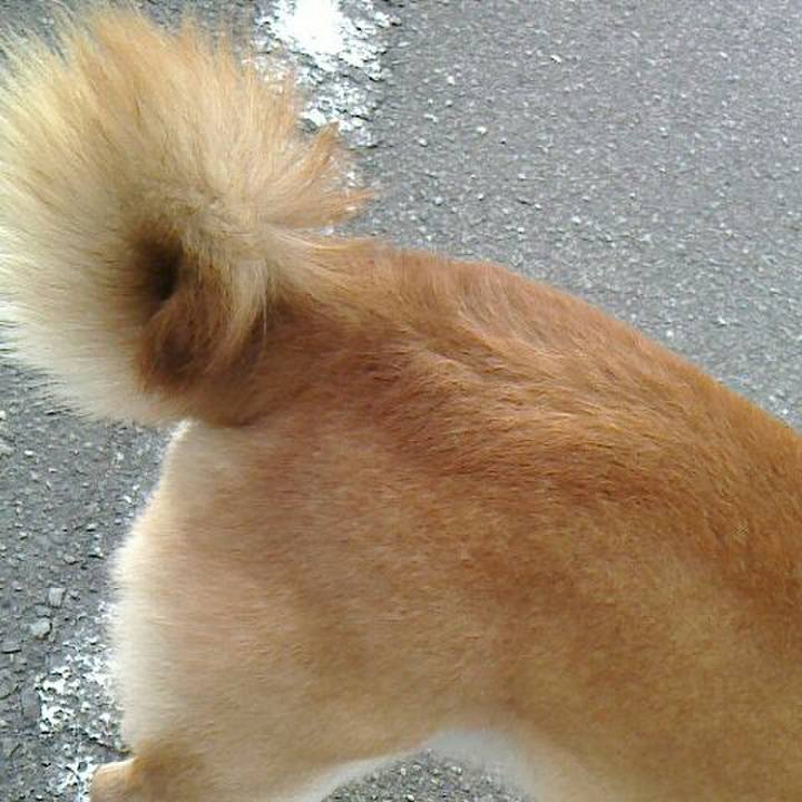 E7b7309c 8158 40c0 b5c2 bf5f70a44065