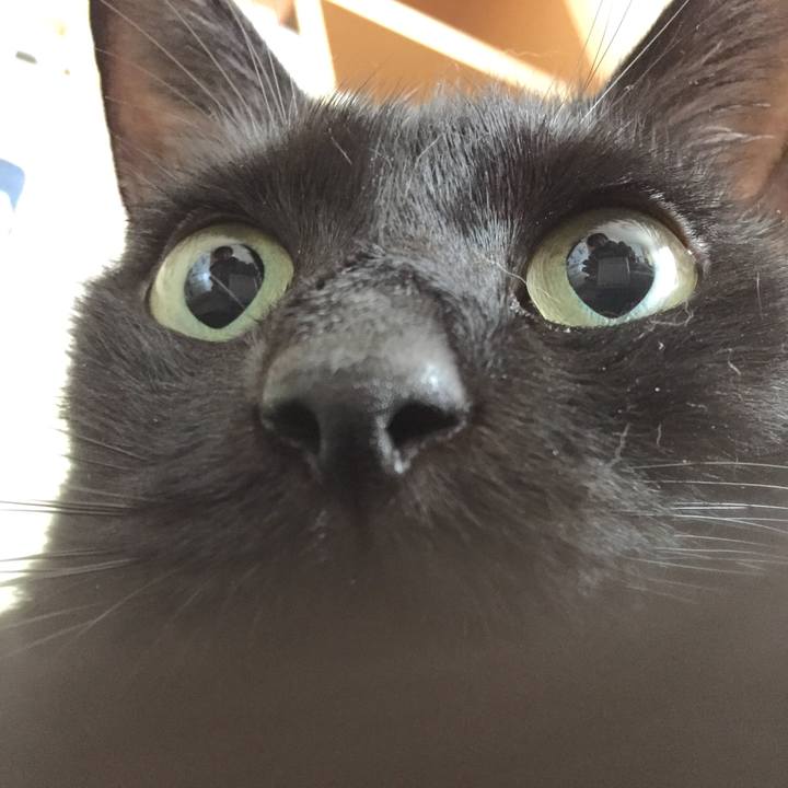 E7b740b8 5f0a 403b bf8c dae58b80eb99