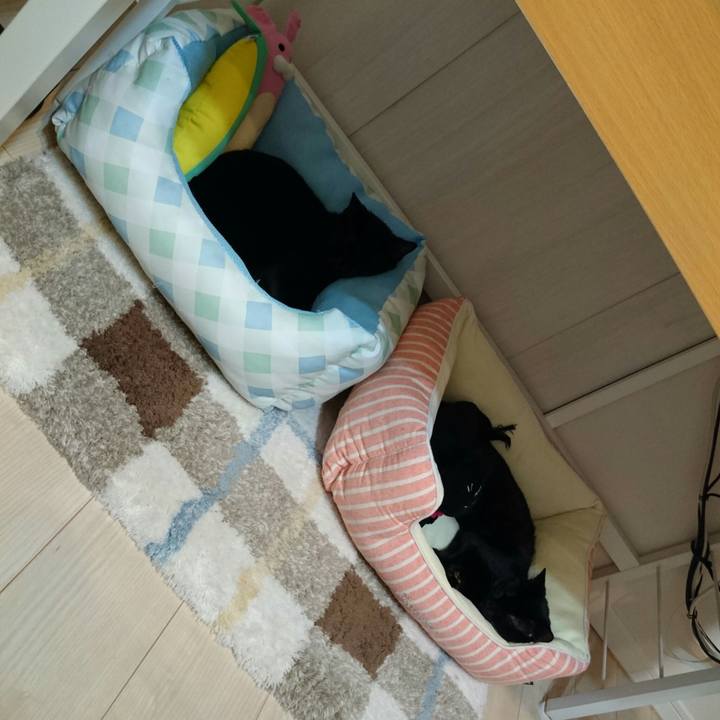 E7b75306 85e5 47df 9c02 bab2e5783196