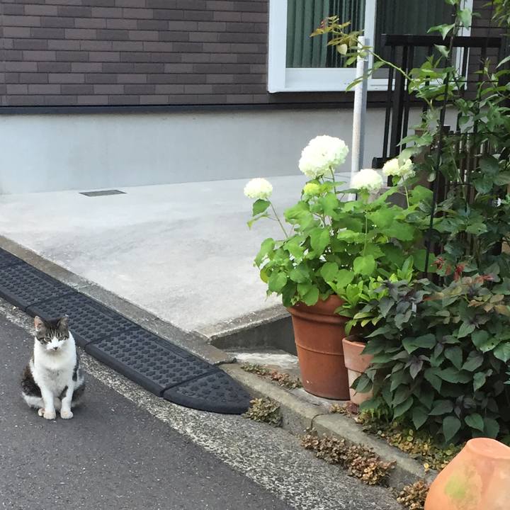 E7b7fcfd 5ec4 426c ab3c f558055ec7ed