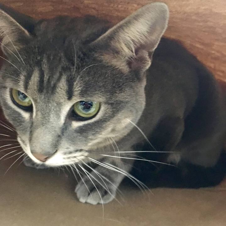 E7b83d8f 0760 474c bfe4 101d008ed7ae