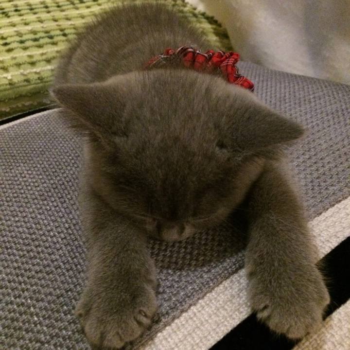 E7b84453 4de6 4fa8 8e02 2fcaf4d47f7e