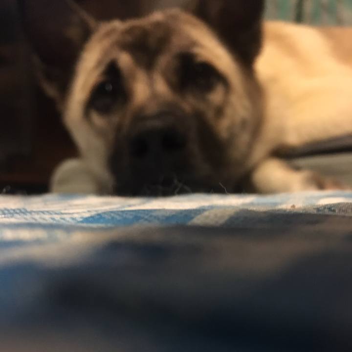 E7b84ab5 12ea 4262 acc3 f5b039caaa46