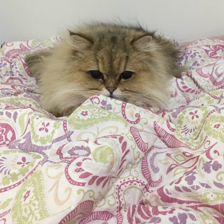 E7b85f61 19c2 4fe5 b51a a36a06767476