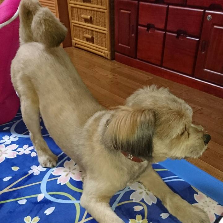 E7b8708d 4b20 4930 a006 7efbe6273620