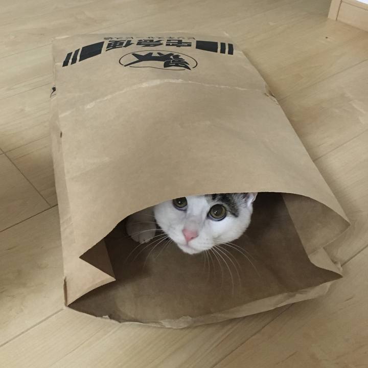 E7b9d2a6 b73a 4c2a b4df 75962d2b0395