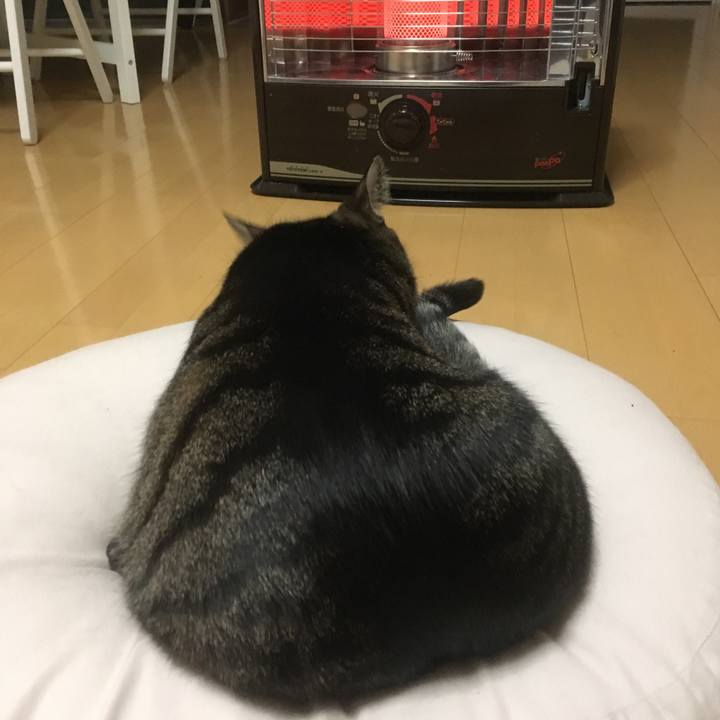 E7b9ffe9 bbe6 4f89 b7b7 0c38cfd518ba