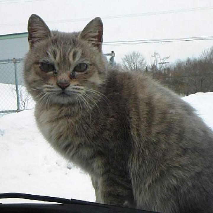 E7ba0851 7e37 4b51 b41a afd8b297e540