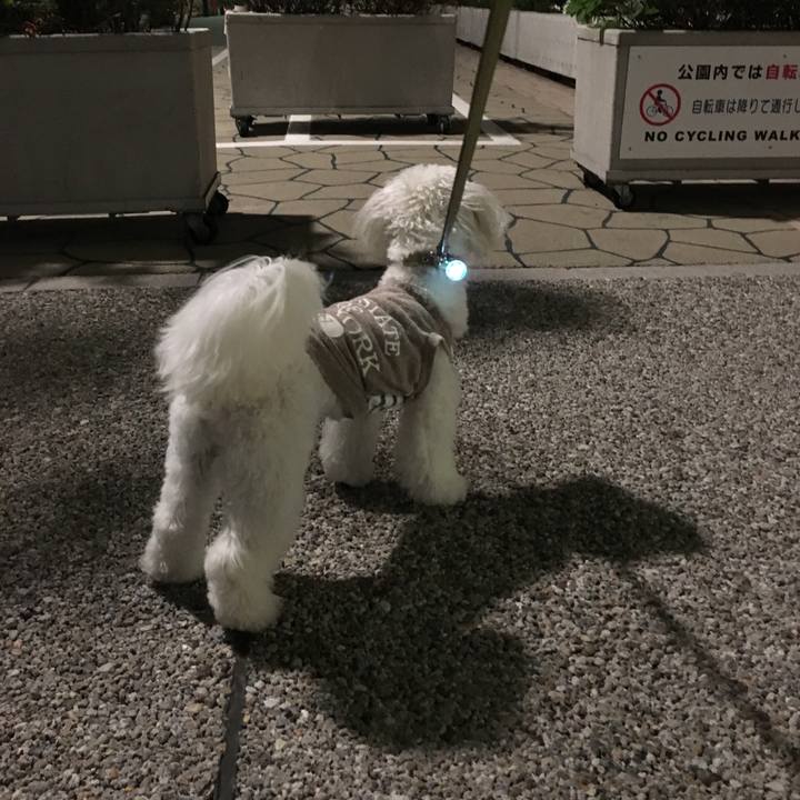 E7ba648e c91e 4af3 9450 9937a32b51cb