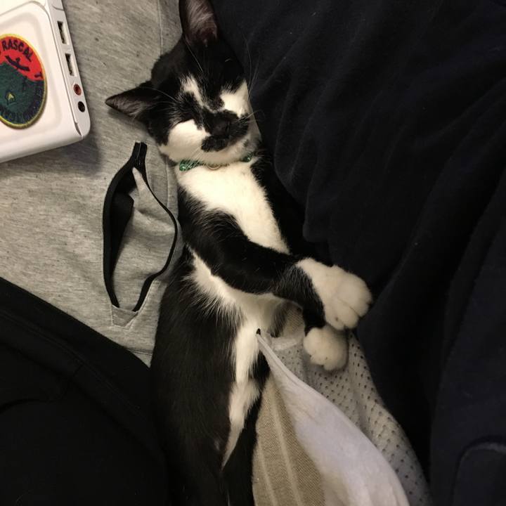 E7ba7edc 8e8a 4b58 a53d 7693f87fab34