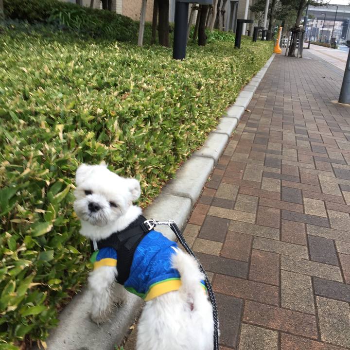 E7baabcf 86e7 48ad bfb9 76f83eab237e