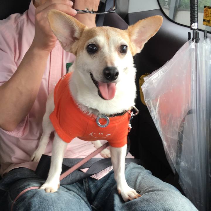 E7bacb6a ecb8 48f3 ba6a 05fb7e6bf113