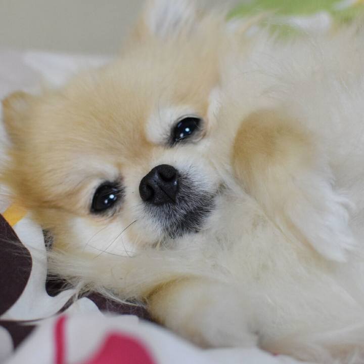 E7bca02e 51e1 4102 a198 2adf2c8e0709