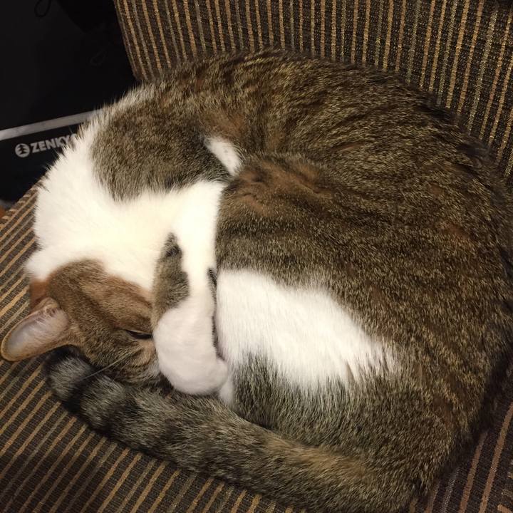 E7bd11f2 7b33 43b6 8c42 8794d1a8bec5