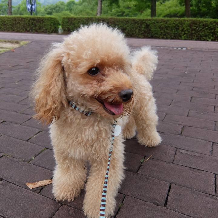 E7bda93c 0d2a 43d3 85cb a9992fdf35c9