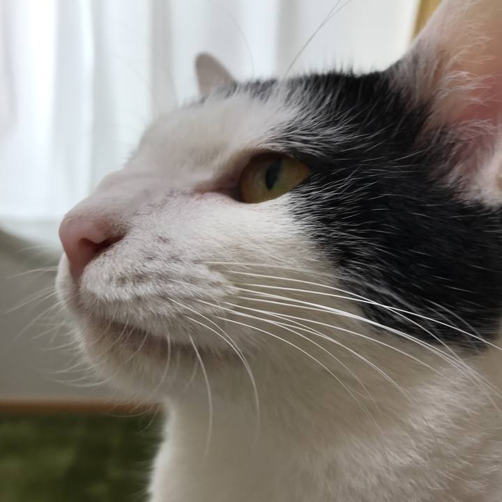 E7be433e 5eb7 4a4b b07b 8d551ce61c1e