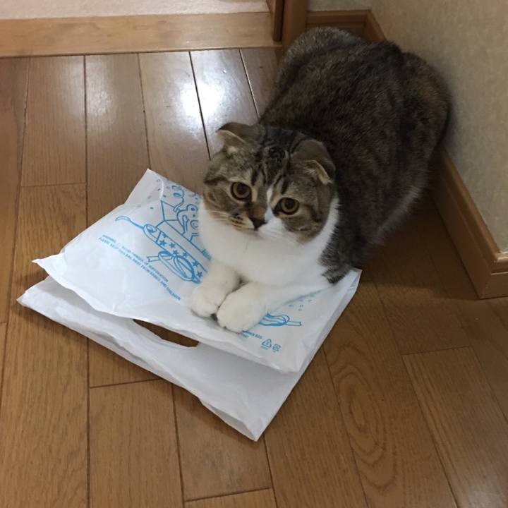 E7be6c89 9743 476f 8754 c256df67f394