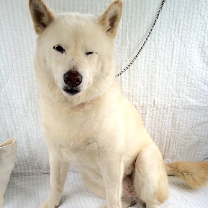 E7bee1f3 a54f 40e9 8a98 f6cb2d1d12d6