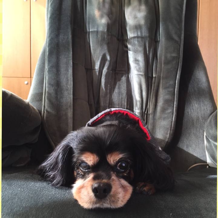 E7bf1e8a 714c 4a39 ab5b 9fa21dc234a0