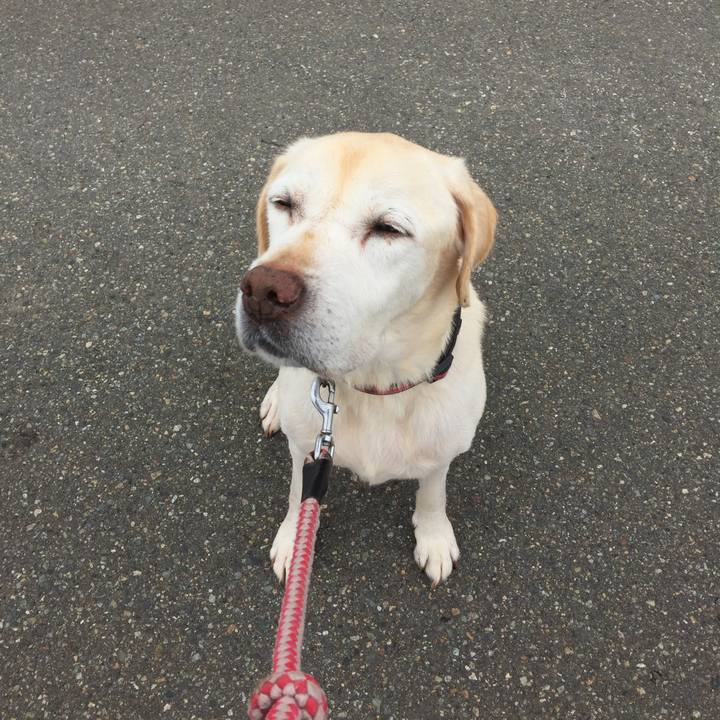 E7bf7dc9 a0e5 41a1 bd91 a18f62a69543