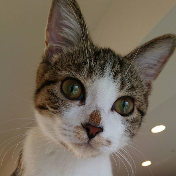 E7bf88e1 ac7e 4dd8 a207 4036152b6840