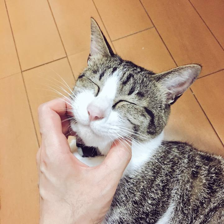 E7bfa21c 1c5f 44b6 9cc7 1807825c1c5b