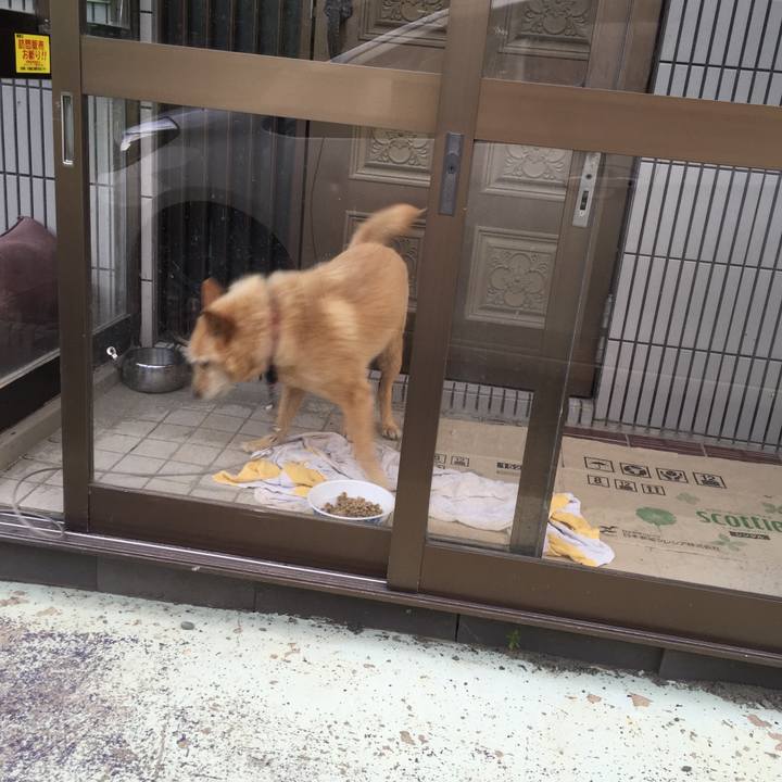 E7c0059c 6fd9 40db 84e9 2c1cd646d405