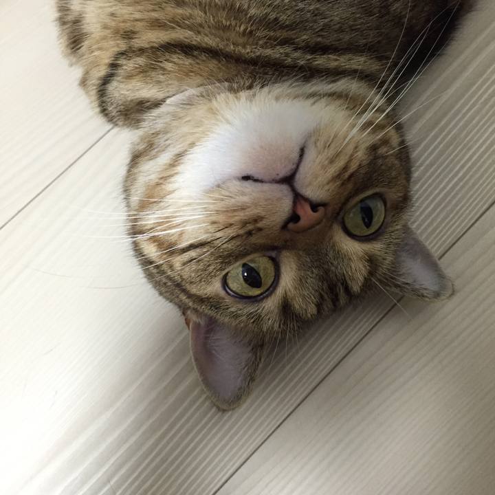 E7c0a662 5ef1 4953 bbf9 eaf0297ee9c1