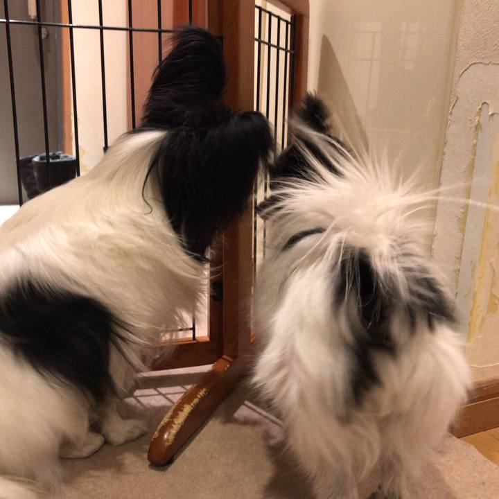 E7c0f203 0b9e 4878 88a5 73b350cfa0f6