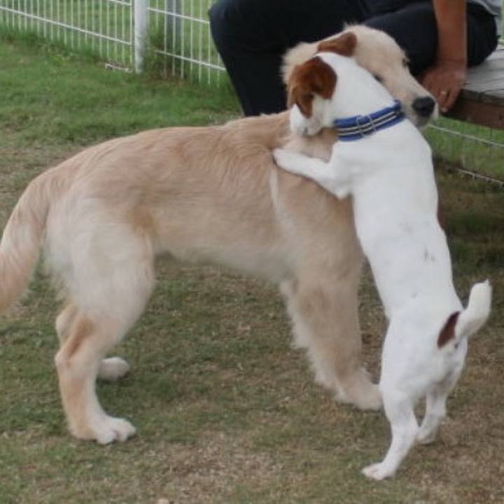 E7c15aca ce1b 418f 894b 7993d6ae858b