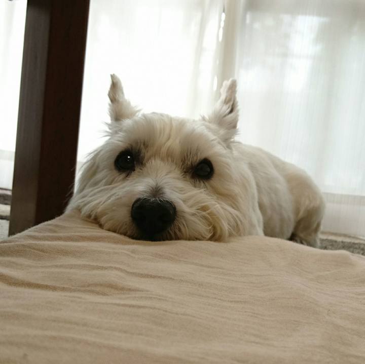 E7c16f66 ae2b 44d6 9651 f2d187920704