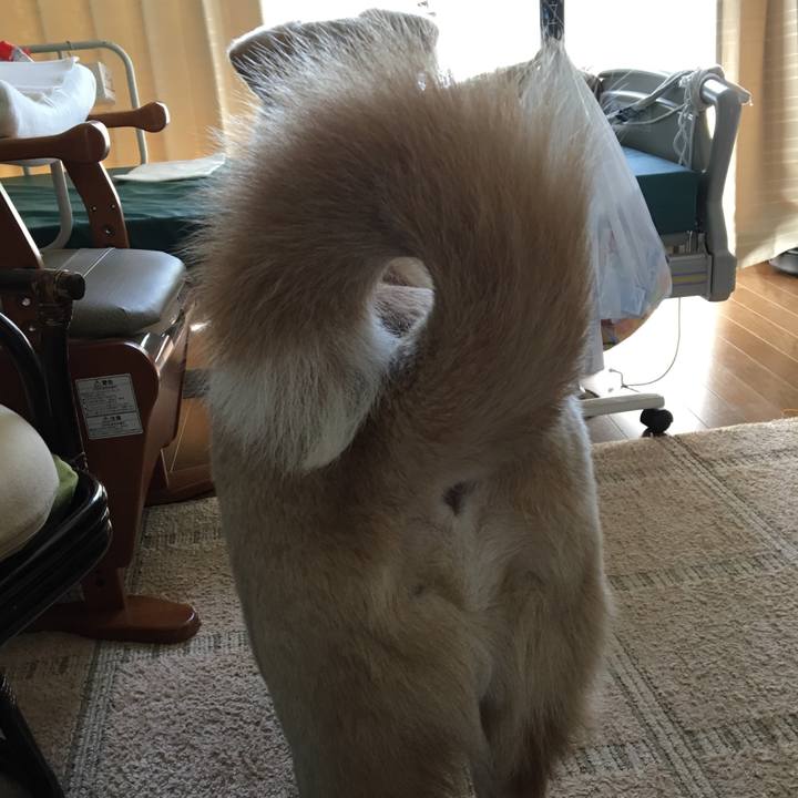 E7c19556 0685 4054 9cc4 18680a8587ed