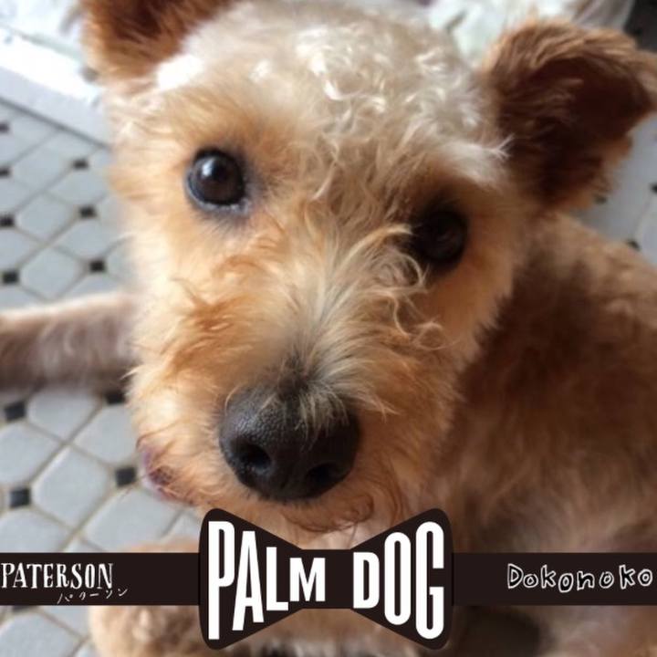 E7c1d54f 5035 4860 9236 194a50980d5c