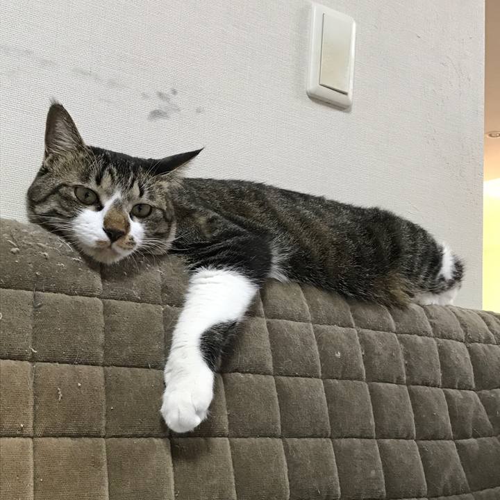 E7c27082 7ec6 4513 b70b e01134738686