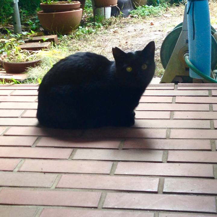 E7c27097 1508 4d72 83dd 2f1a7a499b20