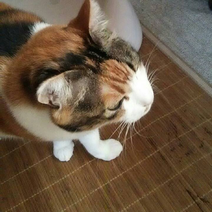 E7c2edb5 b884 4c48 a334 5e5614043069