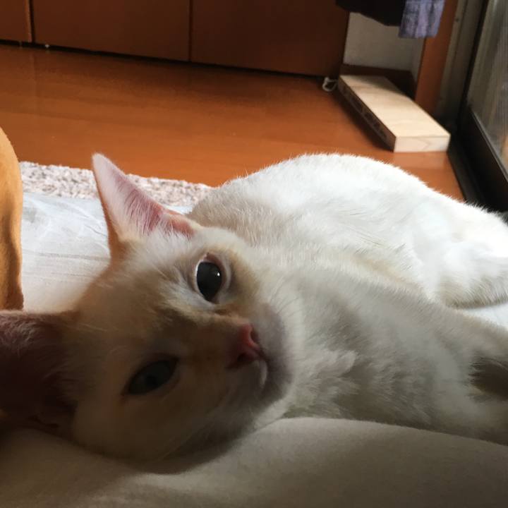 E7c37366 b455 4b54 abe3 f52f51619290