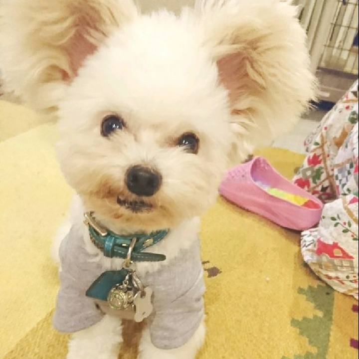 E7c3a371 75bd 4ec1 ae55 6a2e777bd5fb