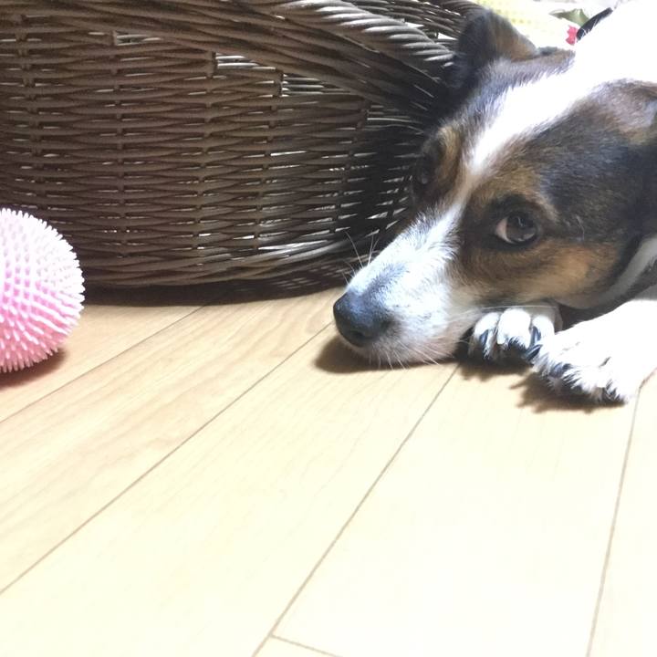 E7c3e84c 9156 4f8d a4f9 d5cc9bf3f52f